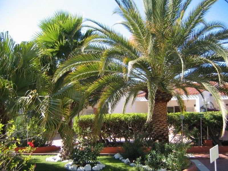 Parque Paraiso I Playa del Ingles  Dış mekan fotoğraf